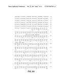 ANTI-VEGF ANTIBODIES diagram and image