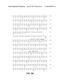 ANTI-VEGF ANTIBODIES diagram and image