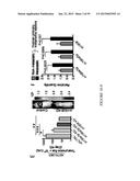 Treatment and Diagnosis of Melanoma diagram and image