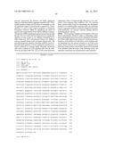 Treatment and Diagnosis of Melanoma diagram and image