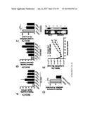 Treatment and Diagnosis of Melanoma diagram and image