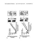 Treatment and Diagnosis of Melanoma diagram and image