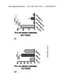 Treatment and Diagnosis of Melanoma diagram and image