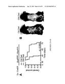 Treatment and Diagnosis of Melanoma diagram and image