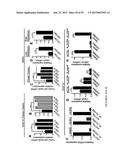 Treatment and Diagnosis of Melanoma diagram and image