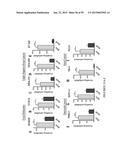 Treatment and Diagnosis of Melanoma diagram and image