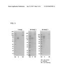 FUSION POLYPEPTIDE INHIBITING VEGF-C, VEGF-D AND/OR ANGIOPOIETIN-2, AND     USE THEREOF diagram and image