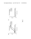 COMBINATION THERAPIES USING ANTI-PSEUDOMONAS PSL AND PCRV BINDING     MOLECULES diagram and image