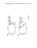 COMBINATION THERAPIES USING ANTI-PSEUDOMONAS PSL AND PCRV BINDING     MOLECULES diagram and image