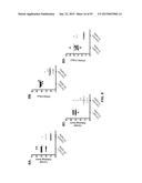 COMBINATION THERAPIES USING ANTI-PSEUDOMONAS PSL AND PCRV BINDING     MOLECULES diagram and image