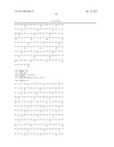 COMBINATION THERAPIES USING ANTI-PSEUDOMONAS PSL AND PCRV BINDING     MOLECULES diagram and image