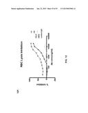 COMBINATION THERAPIES USING ANTI-PSEUDOMONAS PSL AND PCRV BINDING     MOLECULES diagram and image