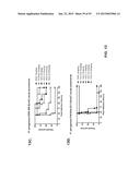 COMBINATION THERAPIES USING ANTI-PSEUDOMONAS PSL AND PCRV BINDING     MOLECULES diagram and image