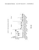 COMBINATION THERAPIES USING ANTI-PSEUDOMONAS PSL AND PCRV BINDING     MOLECULES diagram and image