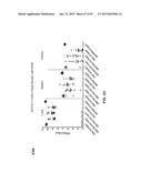 COMBINATION THERAPIES USING ANTI-PSEUDOMONAS PSL AND PCRV BINDING     MOLECULES diagram and image