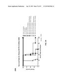 COMBINATION THERAPIES USING ANTI-PSEUDOMONAS PSL AND PCRV BINDING     MOLECULES diagram and image