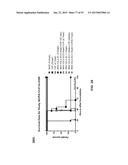 COMBINATION THERAPIES USING ANTI-PSEUDOMONAS PSL AND PCRV BINDING     MOLECULES diagram and image