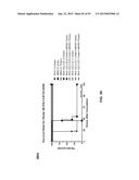 COMBINATION THERAPIES USING ANTI-PSEUDOMONAS PSL AND PCRV BINDING     MOLECULES diagram and image