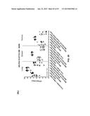 COMBINATION THERAPIES USING ANTI-PSEUDOMONAS PSL AND PCRV BINDING     MOLECULES diagram and image