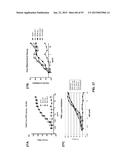 COMBINATION THERAPIES USING ANTI-PSEUDOMONAS PSL AND PCRV BINDING     MOLECULES diagram and image