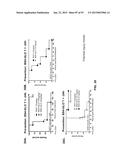 COMBINATION THERAPIES USING ANTI-PSEUDOMONAS PSL AND PCRV BINDING     MOLECULES diagram and image