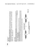 COMBINATION THERAPIES USING ANTI-PSEUDOMONAS PSL AND PCRV BINDING     MOLECULES diagram and image