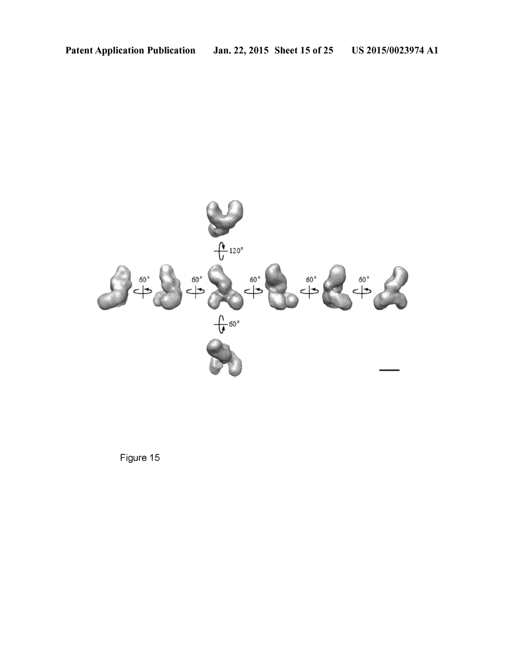 TOLL-LIKE RECEPTOR 2 BINDING EPITOPE AND BINDING MEMBER THERETO - diagram, schematic, and image 16