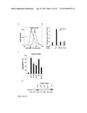 PAR-1 Activation by Metalloproteinase-1 (MMP-1) diagram and image