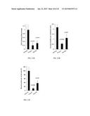 PAR-1 Activation by Metalloproteinase-1 (MMP-1) diagram and image