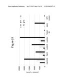 PROTEIN FORMULATIONS AND METHODS OF MAKING SAME diagram and image