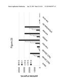 PROTEIN FORMULATIONS AND METHODS OF MAKING SAME diagram and image