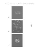 POLYNUCLEOTIDES FOR TREATING ONCOGENIC VIRAL POLYPEPTIDE POSITIVE TUMORS diagram and image