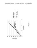 POLYNUCLEOTIDES FOR TREATING ONCOGENIC VIRAL POLYPEPTIDE POSITIVE TUMORS diagram and image