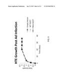 POLYNUCLEOTIDES FOR TREATING ONCOGENIC VIRAL POLYPEPTIDE POSITIVE TUMORS diagram and image