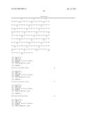 POLYNUCLEOTIDES FOR TREATING ONCOGENIC VIRAL POLYPEPTIDE POSITIVE TUMORS diagram and image