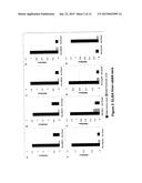 Novel Targets of Acinetobacter Baumannii diagram and image