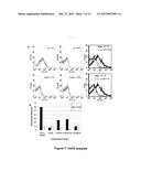 Novel Targets of Acinetobacter Baumannii diagram and image