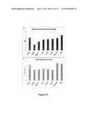 Novel Targets of Acinetobacter Baumannii diagram and image