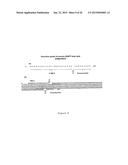 METHOD FOR THE PRODUCTION OF RECOMBINANT VIRUS, DNA CONSTRUCTS,     RECOMBINANT VIRUS AND VACCINE COMPOSITIONS diagram and image