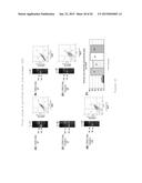 METHOD FOR THE PRODUCTION OF RECOMBINANT VIRUS, DNA CONSTRUCTS,     RECOMBINANT VIRUS AND VACCINE COMPOSITIONS diagram and image