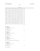 METHOD FOR THE PRODUCTION OF RECOMBINANT VIRUS, DNA CONSTRUCTS,     RECOMBINANT VIRUS AND VACCINE COMPOSITIONS diagram and image