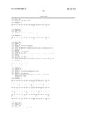 METHOD FOR THE PRODUCTION OF RECOMBINANT VIRUS, DNA CONSTRUCTS,     RECOMBINANT VIRUS AND VACCINE COMPOSITIONS diagram and image