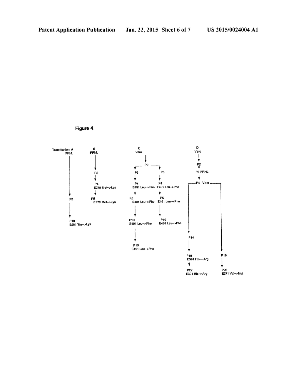 FLAVIVIRUS VACCINES - diagram, schematic, and image 07