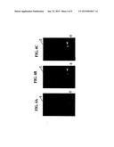 COMPOSITIONS AND METHODS FOR CELL KILLING diagram and image