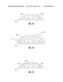 HYDROGEL IMPLANTS WITH VARYING DEGREES OF CROSSLINKING diagram and image