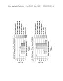 Immunogenic Compositions and Methods diagram and image