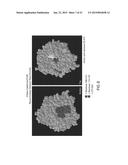 Immunogenic Compositions and Methods diagram and image