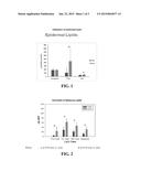 COMPOSITION FOR TREATING SKIN BARRIER AND REDUCING ACNE diagram and image