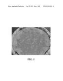 Cheese With Improved Organoleptic And Melting Properties diagram and image