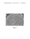 Cheese With Improved Organoleptic And Melting Properties diagram and image